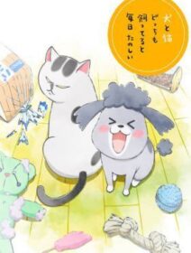 Inu To Neko Docchi Mo Katteru To Mainichi Tanoshii