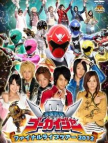 Kaizoku Sentai Gokaiger